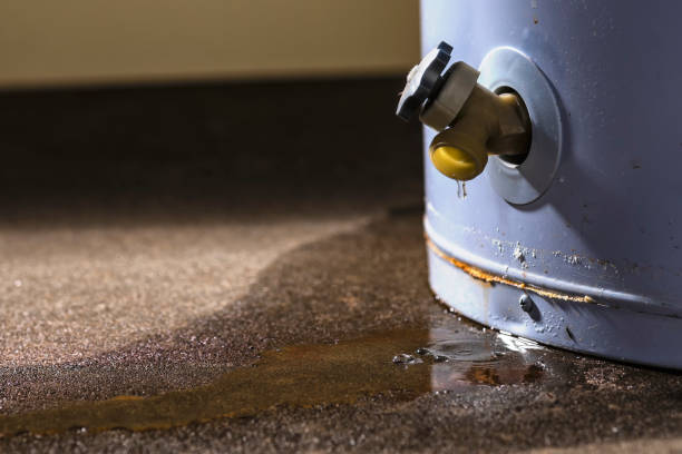 Best Commercial water damage restoration  in Mec, CA