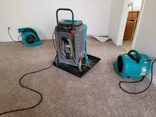 Best Flood damage cleanup  in Mec, CA