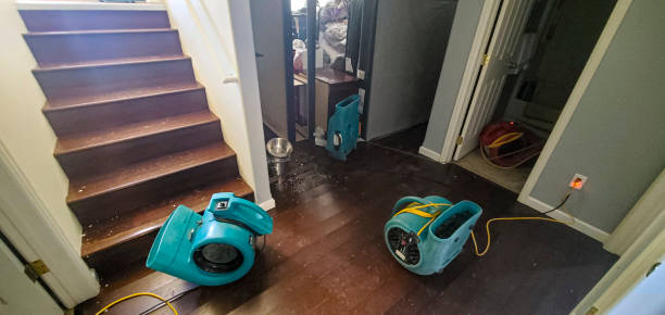 Best Water damage restoration company  in Mec, CA