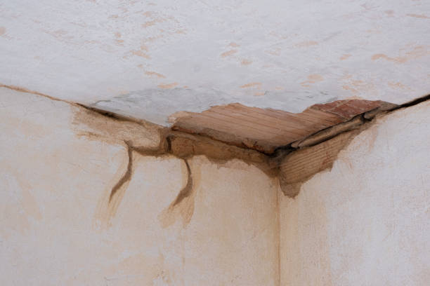 Best Water damage contractors near me  in Mec, CA
