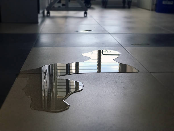 Best Water damage restoration near me  in Mec, CA