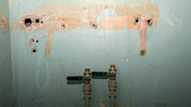 Best Flooded house restoration  in Mec, CA
