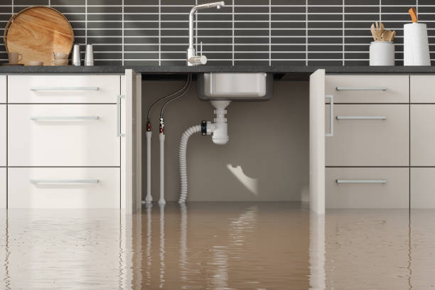 Best Flood restoration services  in Mec, CA