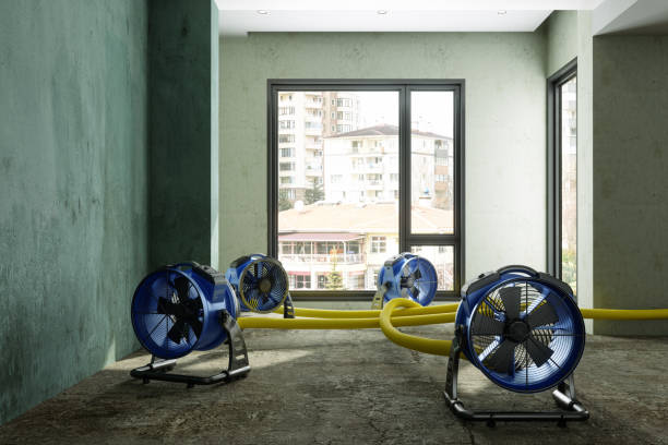Best Water damage restoration insurance claims  in Mec, CA