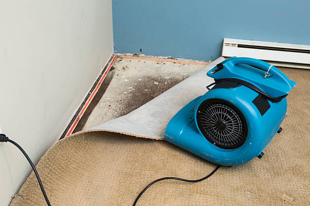 Best Local water damage restoration  in Mec, CA
